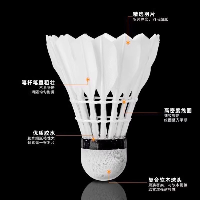 Lion Badminton Shuttlecock Goo - огляд і ціна Feather Shuttlecock